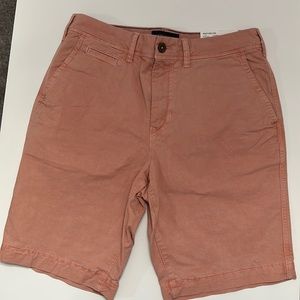 NWT - American Eagle Next Level Flex Shorts - Men’s Size 30